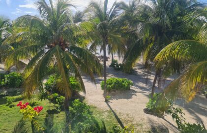 Was ist das eigentlich: Paradies?