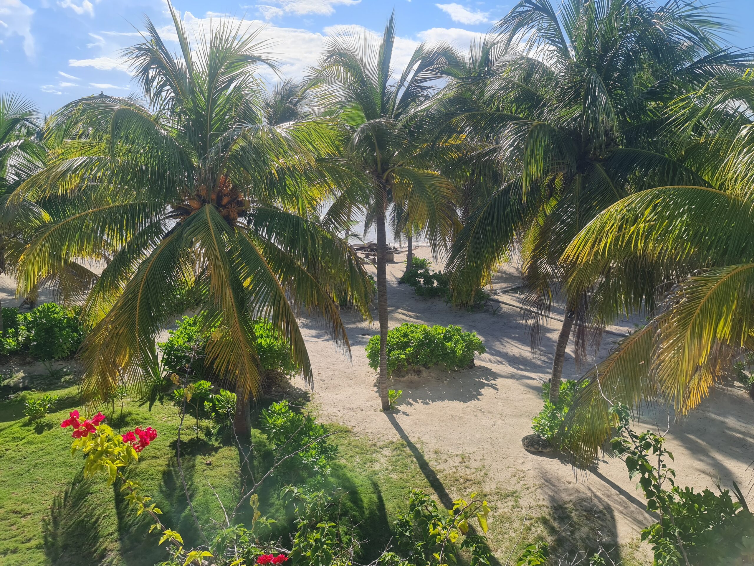 Was ist das eigentlich: Paradies?