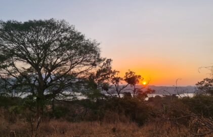 Farmleben und San Francisco ohne Brücke