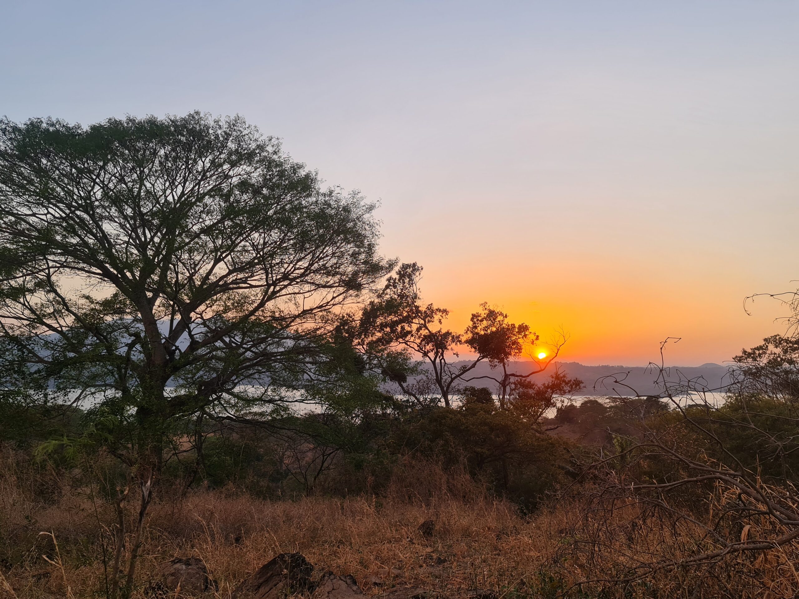 Farmleben und San Francisco ohne Brücke