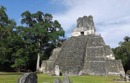 Die Maya und die Natur