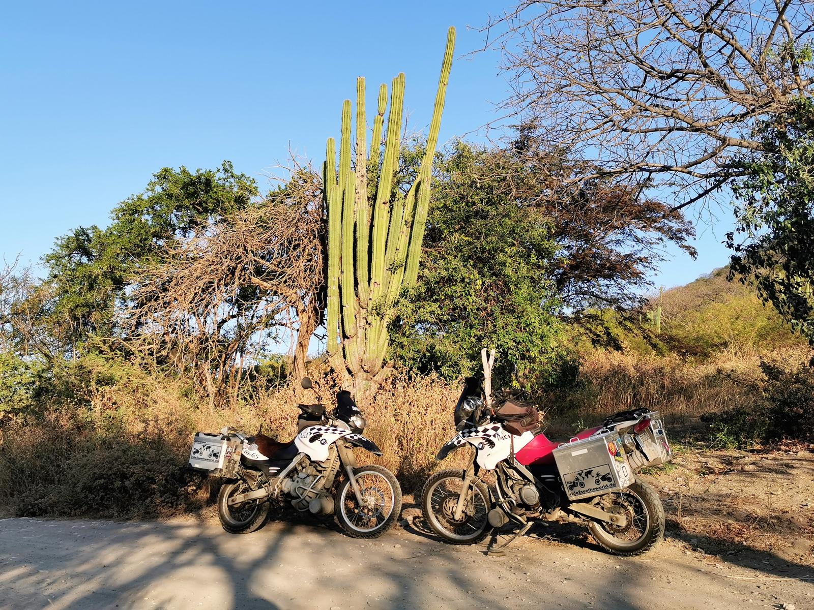 Auf mexikanischen Straßen unterwegs