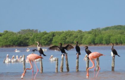 Wie viele Farben hat das Wasser?