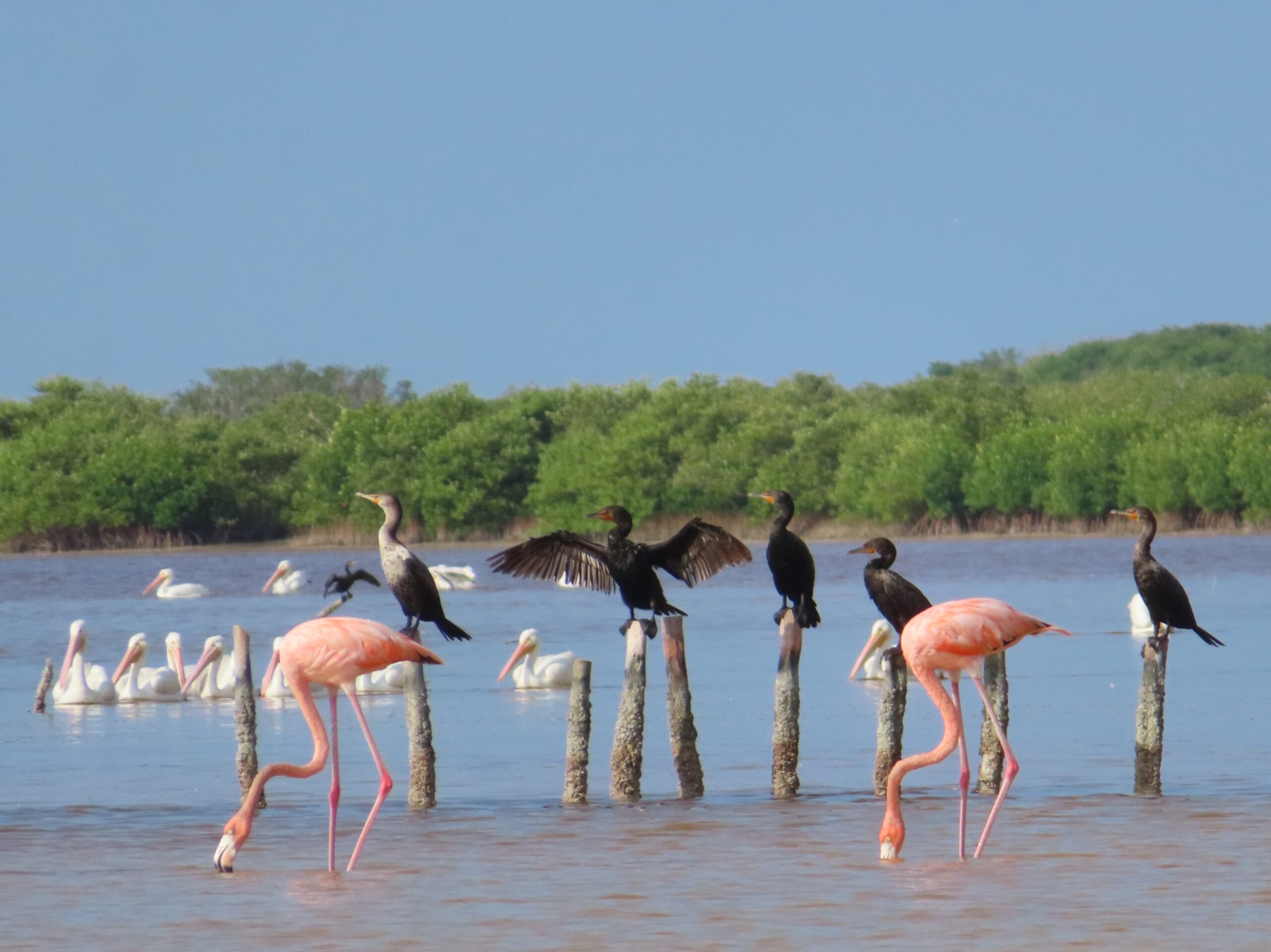 Wie viele Farben hat das Wasser?