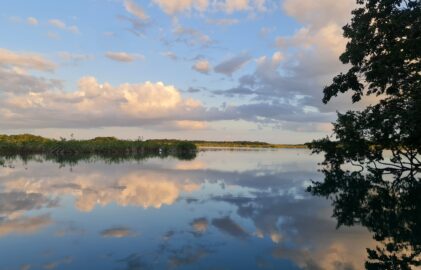 Unser Weg nach Belize – mit Bass und Blechschildern