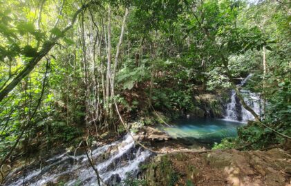 Belize – ein kleines Land, große Eindrücke