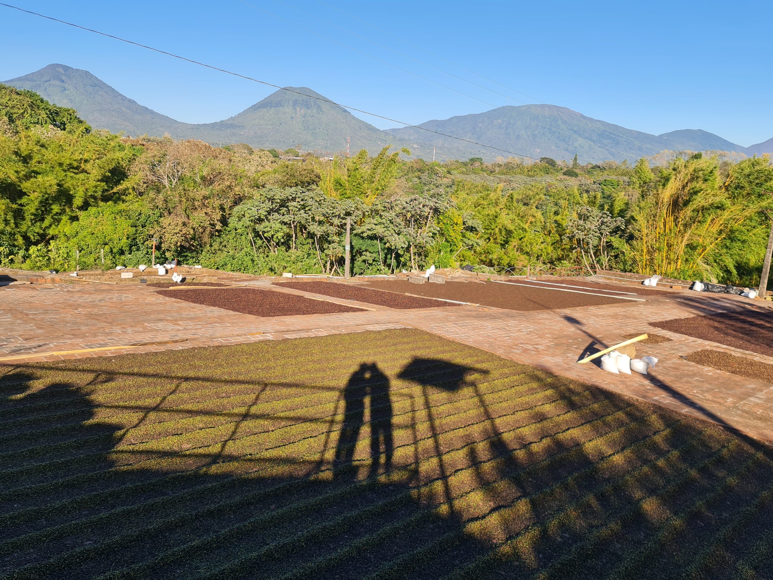 Wo die Erde brummt und der Kaffee besonders schmeckt